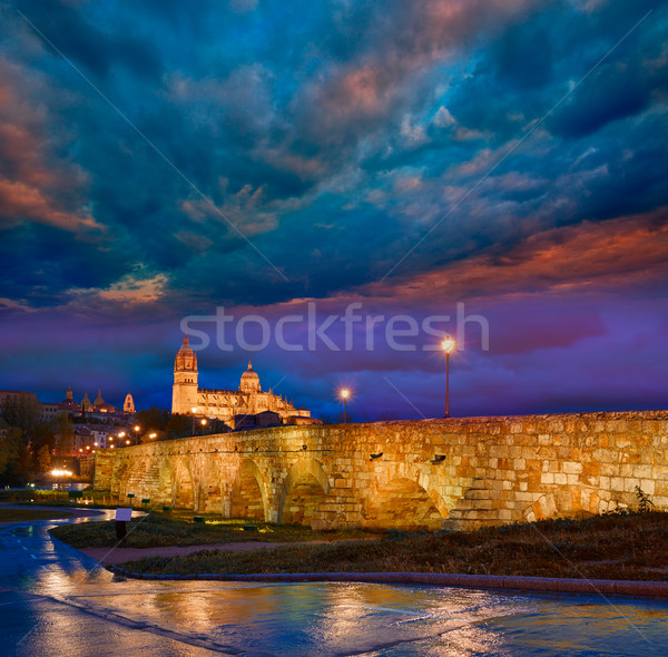 Salamanca sunset in roman bridge Tormes river Stock photo © lunamarina