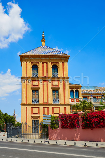 Seville Palacio de San Telmo Andalusia of Spain Stock photo © lunamarina