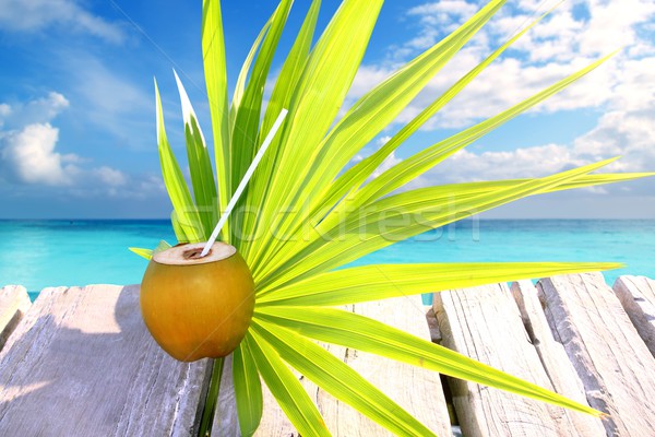 coconut fresh in caribbean sea pier chit palm leaf  Stock photo © lunamarina