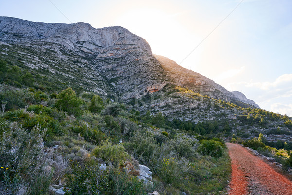 Montgo mountain in Denia Alicante Stock photo © lunamarina