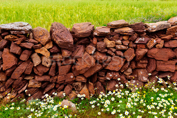 Masonry stonewall in spring with flowers Menorca Stock photo © lunamarina