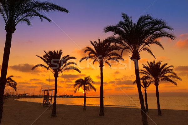 Strand zonsondergang majorca eilanden Spanje hemel Stockfoto © lunamarina