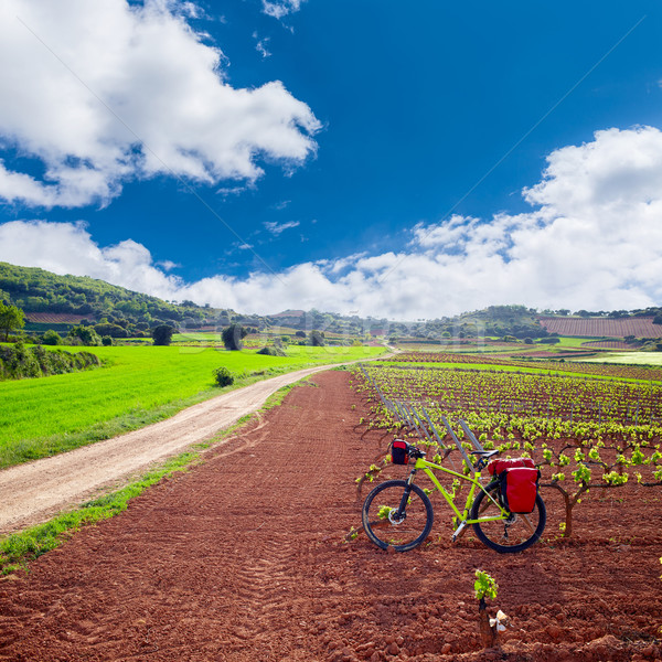 La Rioja vineyard fields in The Way of Saint James Stock photo © lunamarina