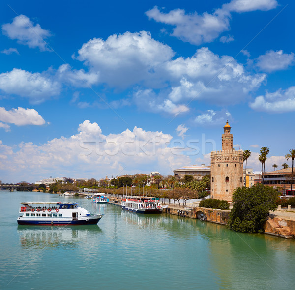 Seville Torre del Oro tower in Sevilla Andalusia Stock photo © lunamarina