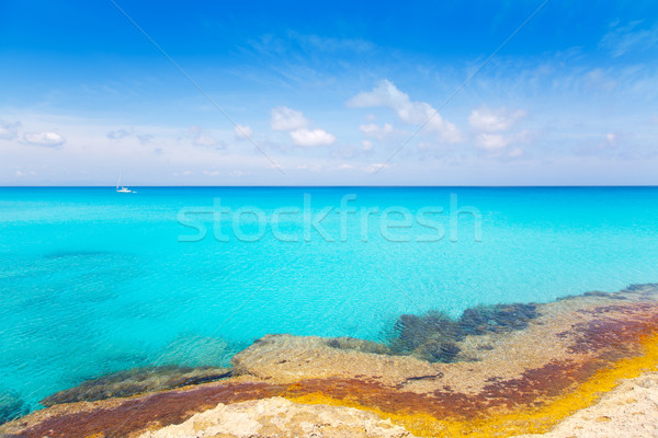 Es Calo de San Agusti in Formentera Balearic Stock photo © lunamarina