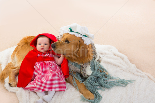 Baby Little Red Riding Hood with wolf dog as grandma Stock photo © lunamarina
