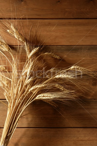 Ear golden wheat spike over wooden background  Stock photo © lunamarina