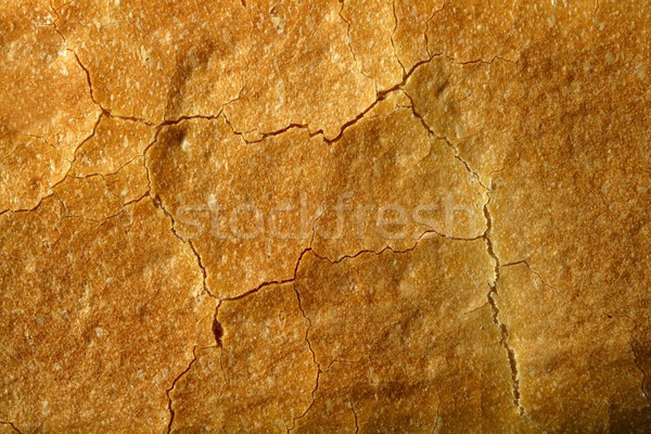 Brot Makro Textur Bäckerei abstrakten Stock foto © lunamarina