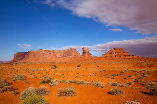 View from US 163 Scenic road to Monument Valley Utah Stock photo © lunamarina