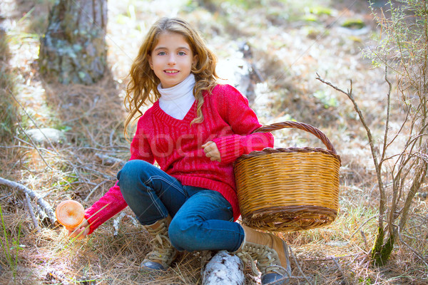 Stock photo: kid girl searching chanterelles mushrooms with basket in autumn