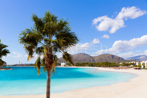 Platja de Alcudia beach in Mallorca Majorca Stock photo © lunamarina