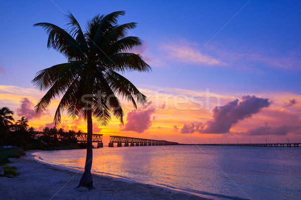 Florida Keys old bridge sunset at Bahia Honda Stock photo © lunamarina