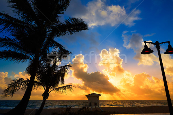 Fort lauderdale spiaggia sunrise Florida mattina USA Foto d'archivio © lunamarina