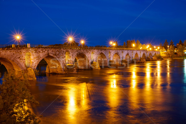 Zamora Puente de Piedra stone bridge Spain Stock photo © lunamarina