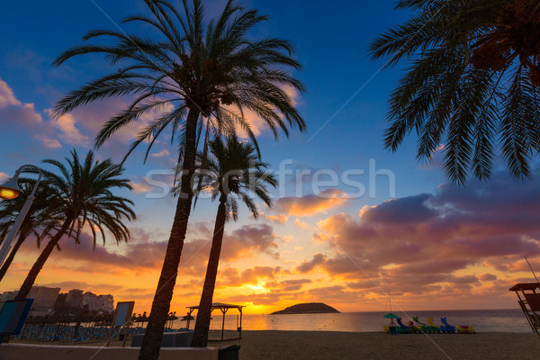 マヨルカ島 日の出 ビーチ 島々 スペイン 太陽 ストックフォト © lunamarina