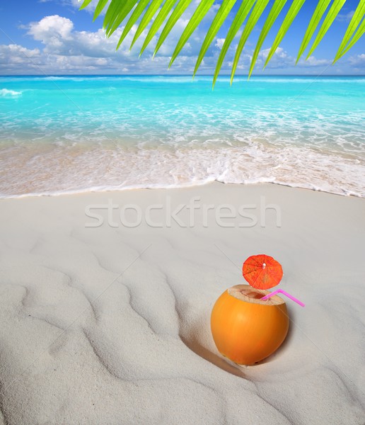 Stockfoto: Kokosnoot · caribbean · strand · stro · sap · cocktail