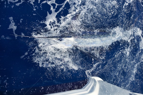 Stok fotoğraf: Beyaz · büyük · oyun · spor · balık · tutma · mavi