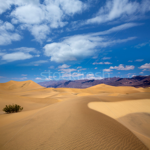 Mesquite Dunes desert in Death Valley National Park Stock photo © lunamarina