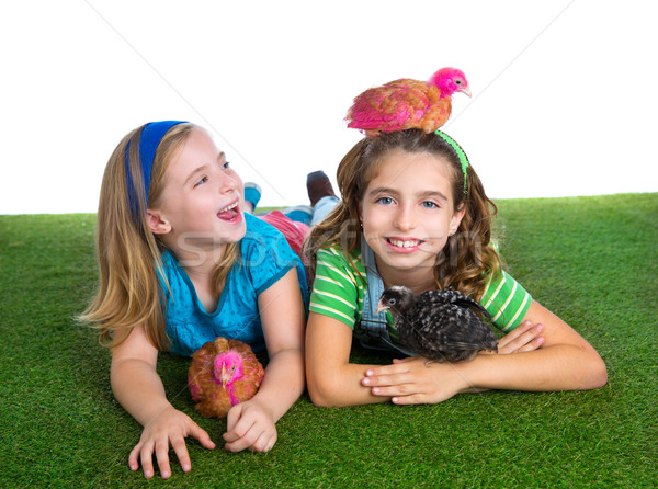 breeder hens kid sister farmer girls having fun with chicken chi Stock photo © lunamarina