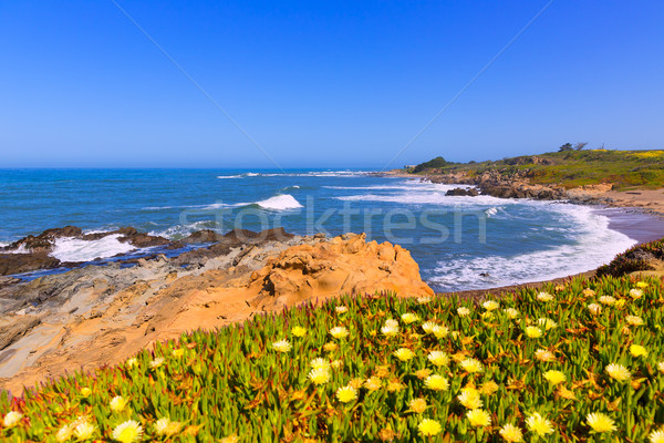 Califórnia feijão oco praia rodovia rota Foto stock © lunamarina