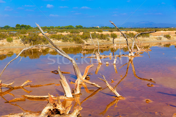 Mallorca Es Trenc Ses Salines saltworks in Balearic Stock photo © lunamarina