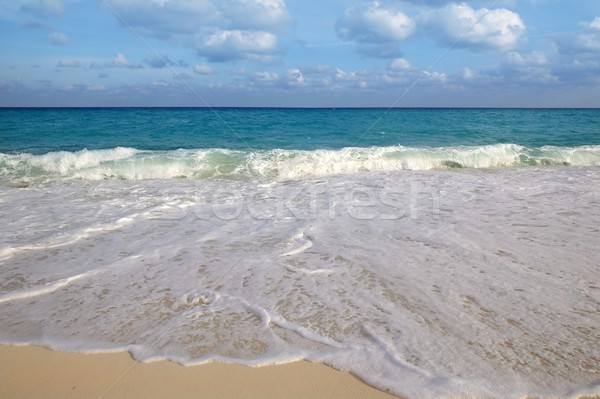 Caribbean sea tropical turquoise beach blue Stock photo © lunamarina