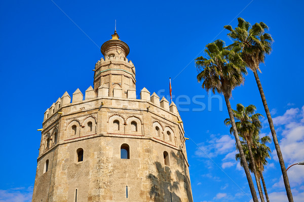 Torony Spanyolország épület város kő építészet Stock fotó © lunamarina