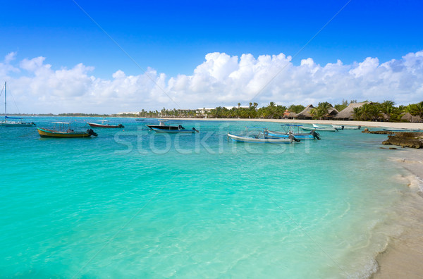 Akumal bay beach in Riviera Maya Stock photo © lunamarina