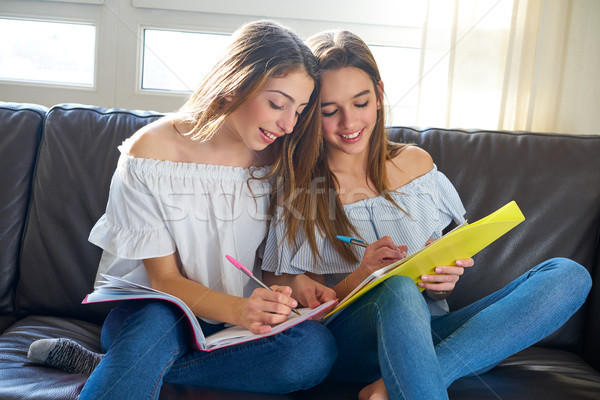 Beste vriend meisjes studeren huiswerk home sofa Stockfoto © lunamarina