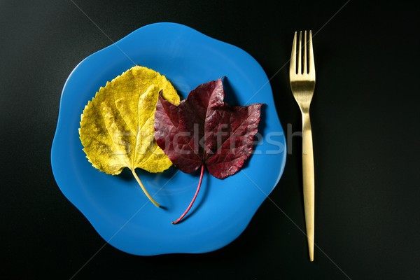 Metáfora dieta saudável baixo calorias colorido vegetariano Foto stock © lunamarina