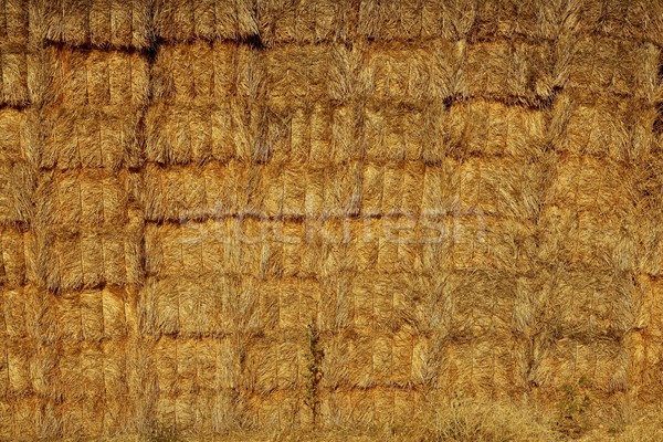 Stock photo: Cereal barn with square shape stack on columns