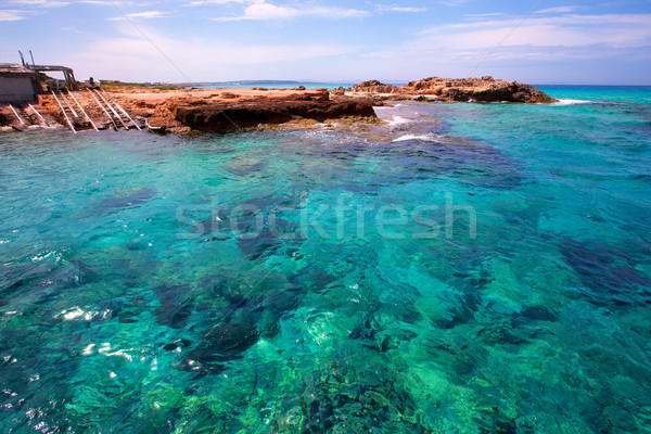 Formentera Es Calo de Sant Agusti turauoise sea Stock photo © lunamarina