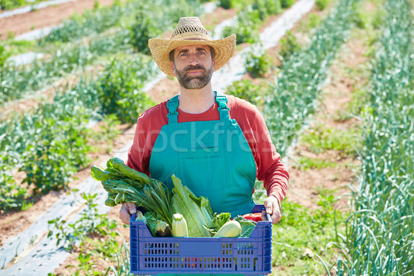 Farmer man harvesting vegetables in orchard Stock photo © lunamarina