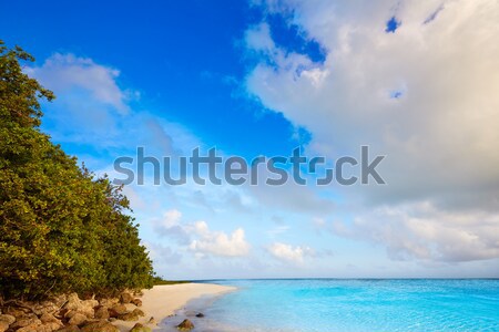 Florida Keys beach Bahia Honda Park US Stock photo © lunamarina