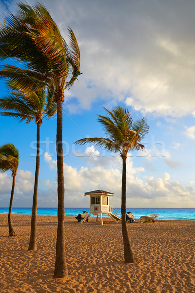 Fort lauderdale plaży Świt Florida rano USA Zdjęcia stock © lunamarina