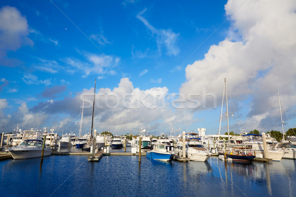 Fort lauderdale marina barche Florida USA spiaggia Foto d'archivio © lunamarina