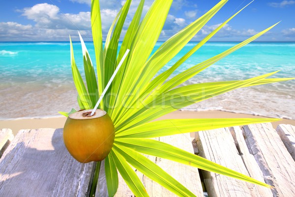 coconut fresh in caribbean sea pier chit palm leaf  Stock photo © lunamarina