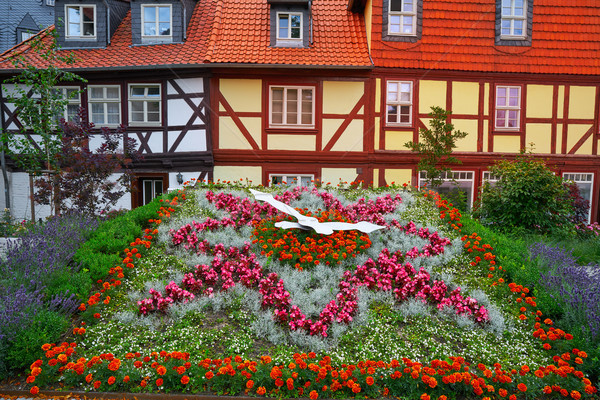 Wernigerode flower clock in Harz Germany Stock photo © lunamarina