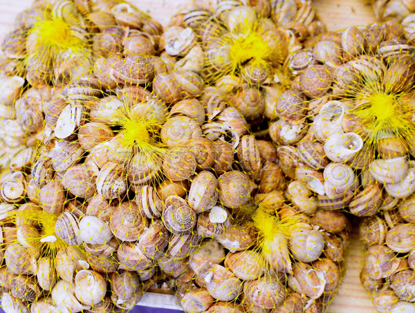 Mediterranean snails in yellow nets Stock photo © lunamarina