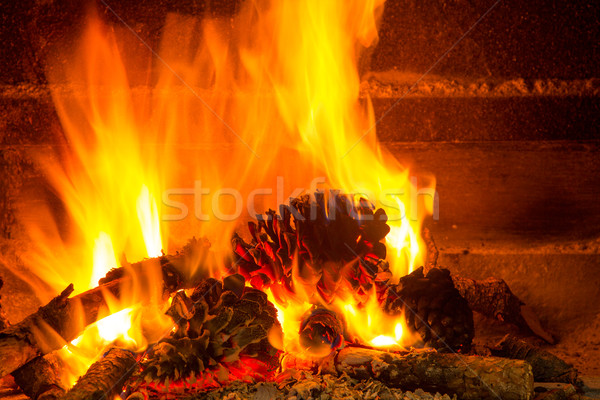 Ardor leña chimenea pino fuego luz Foto stock © lunamarina