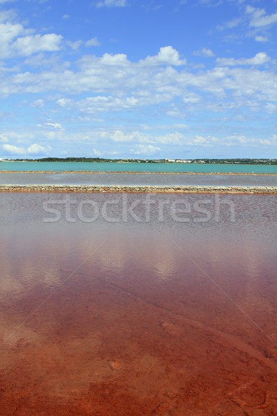 Ses Salines Formentera colorful saltworks horizon Stock photo © lunamarina