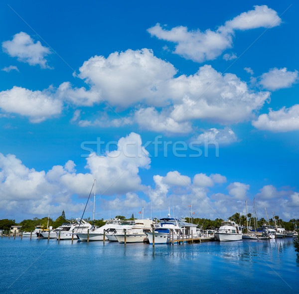 Key West Florida marina Garrison Bight Florida Stock photo © lunamarina