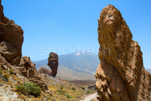 Teide National Park Roques de Garcia in Tenerife Stock photo © lunamarina