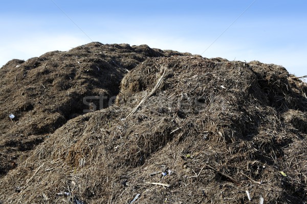 Compost big mountain outdoor ecological recycle Stock photo © lunamarina