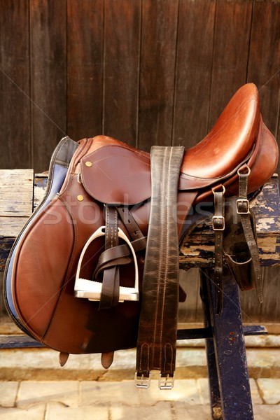 Horse riders complements, rigs, mounts, leather over wood Stock photo © lunamarina