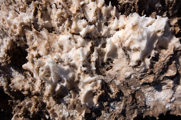 Devils golf course Death Valley salt clay formations Stock photo © lunamarina