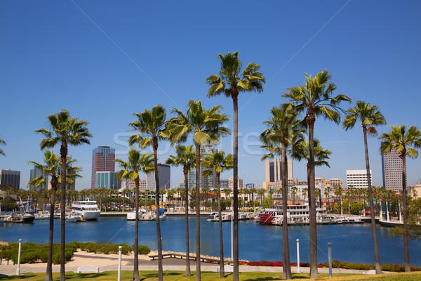 Long Beach California skyline from palm trees of port Stock photo © lunamarina