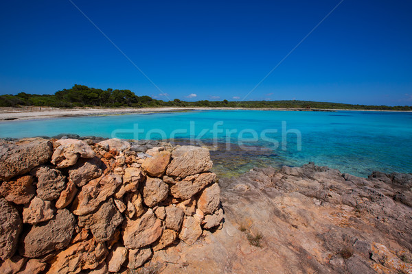 Menorca Son Saura beach in Ciutadella turquoise Balearic Stock photo © lunamarina