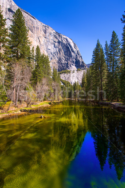 Yosemite Merced River and el Capitan in California Stock photo © lunamarina