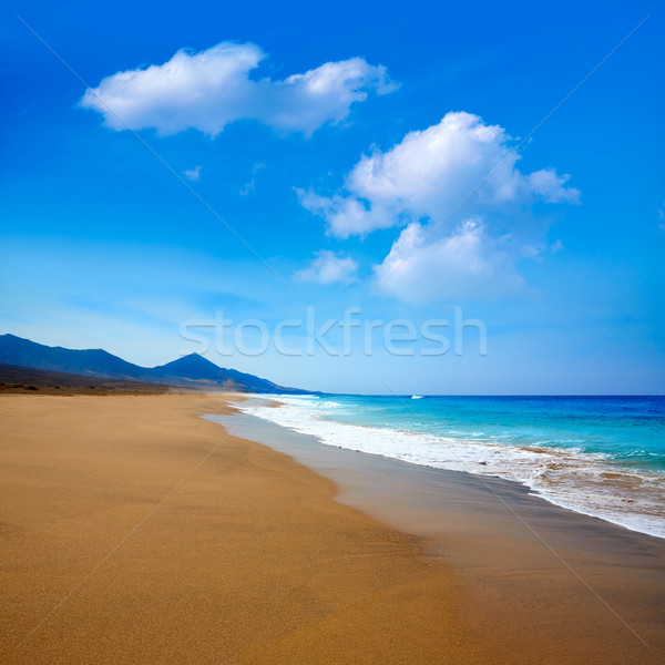 Plajă insulele canare Spania cer peisaj mare Imagine de stoc © lunamarina